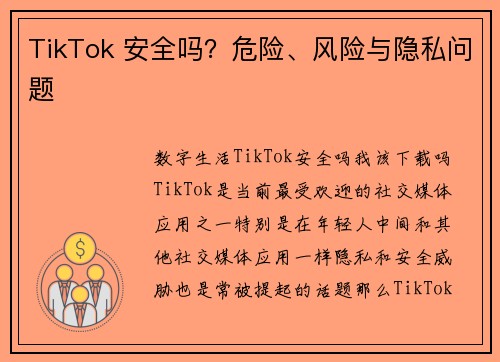 TikTok 安全吗？危险、风险与隐私问题